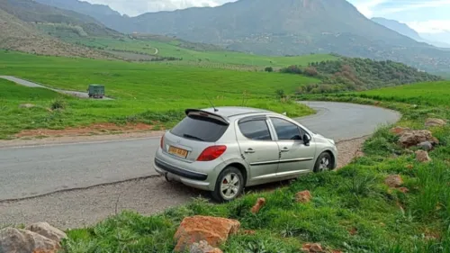 Peugeot 207 2008 207