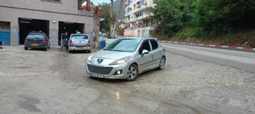 Peugeot 207 2008 207