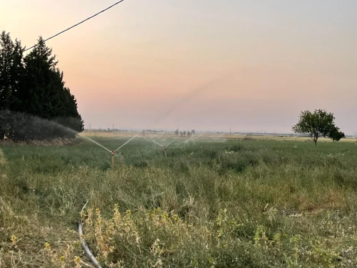Vente Terrain Agricole Khenchela Mtoussa