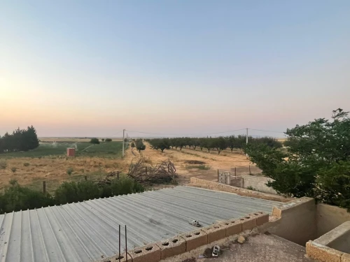 Vente Terrain Agricole Khenchela Mtoussa