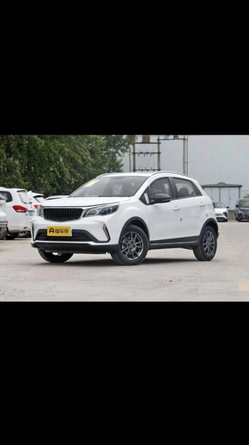 Livan X3 Pro  2025 vertion international