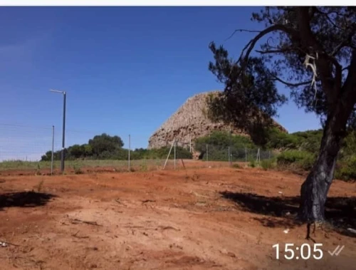 Vente Terrain Tipaza Sidi rached