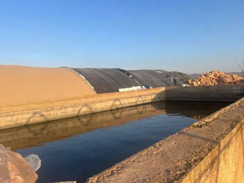 Vente Terrain Agricole Sidi Bel Abbès Tabla
