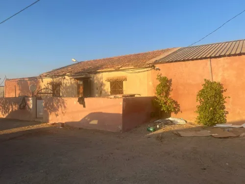 Vente Terrain Agricole Sidi Bel Abbès Tabla