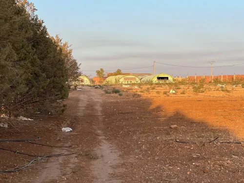 Vente Terrain Agricole Sidi Bel Abbès Tabla