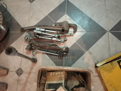 تيبازة