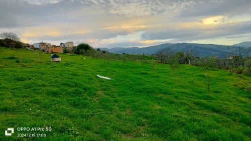 Vente Terrain Tizi Ouzou Ifigha