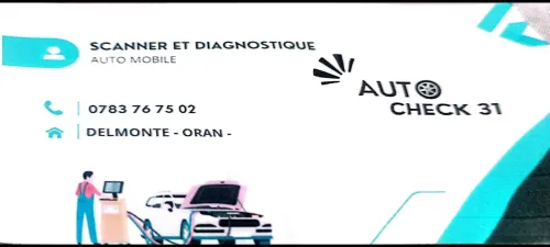 Scanner et Diagnostique tout types de Véhicule 