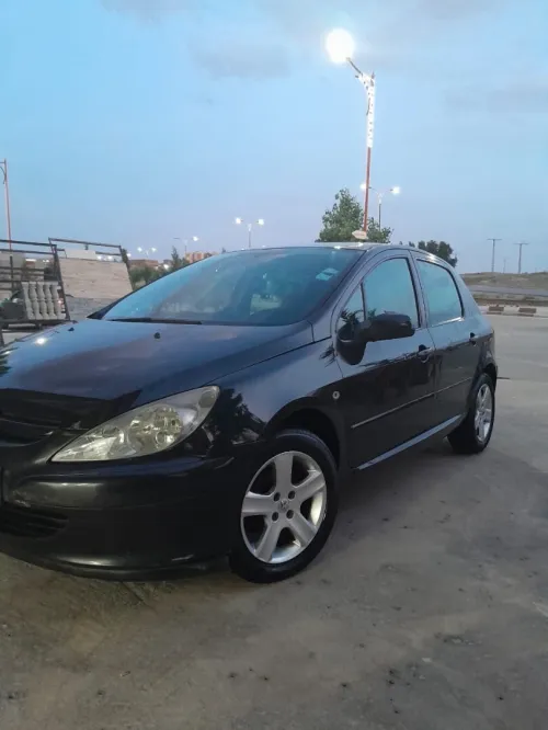 Peugeot 307 2002 307