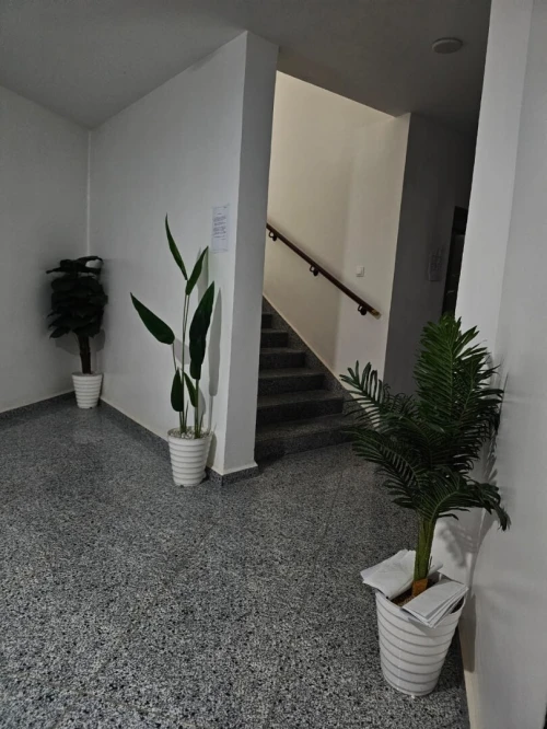 Location Appartement F3 Alger Alger centre