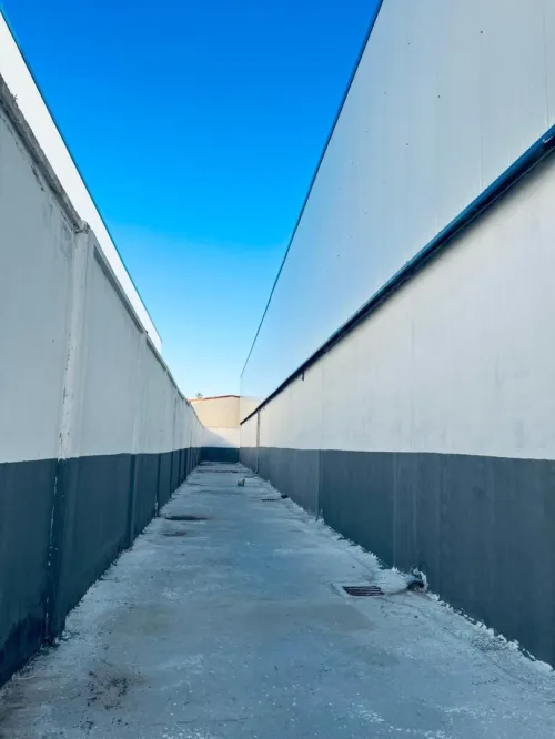 Location Hangar - Usine Blida Boufarik