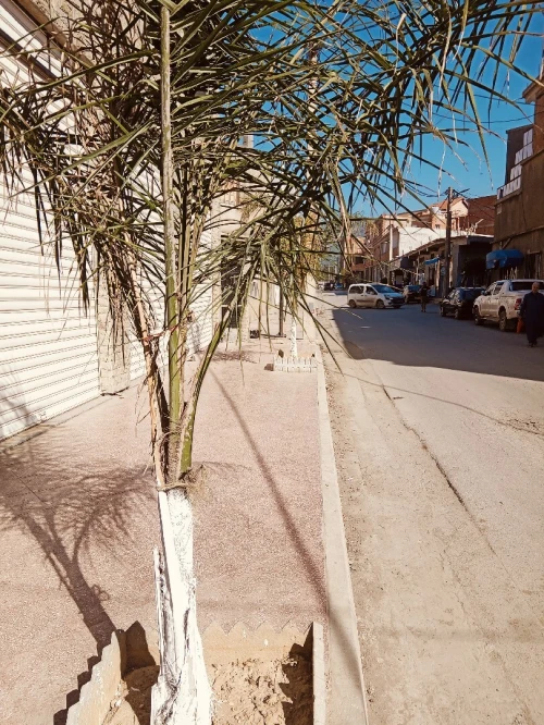 Location Villa Blida Guerrouaou