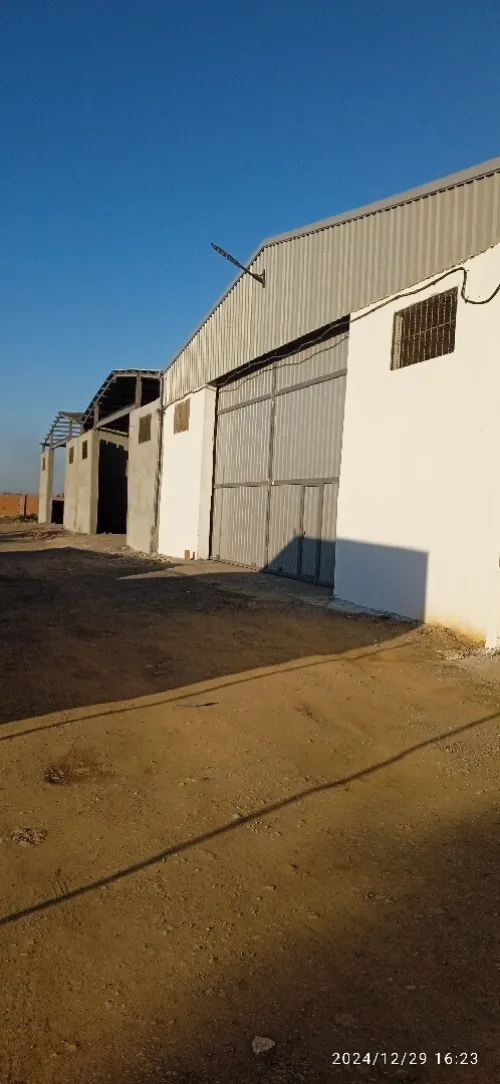 Location Hangar Blida Beni tamou