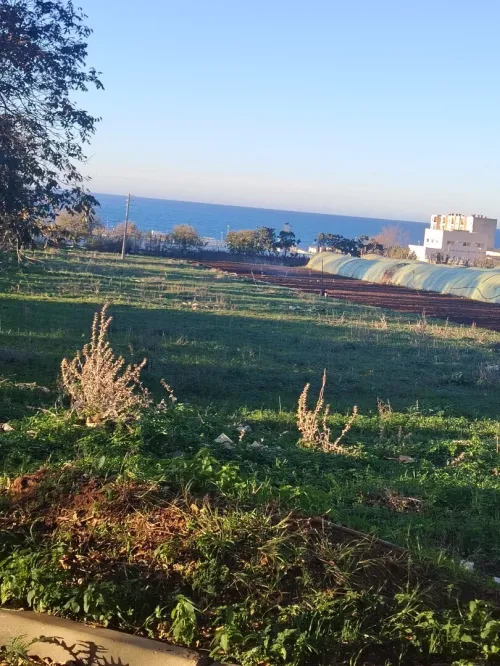 TERRAIN AGRICOLE EAC HAK IMTIAZ 
