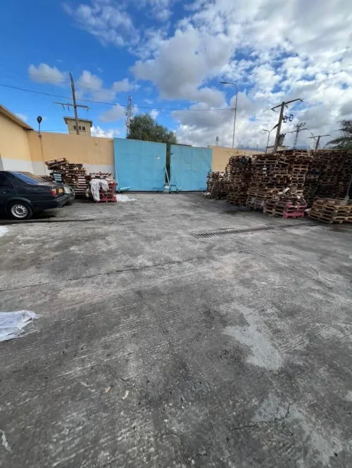 Location Hangar - Usine Blida Blida