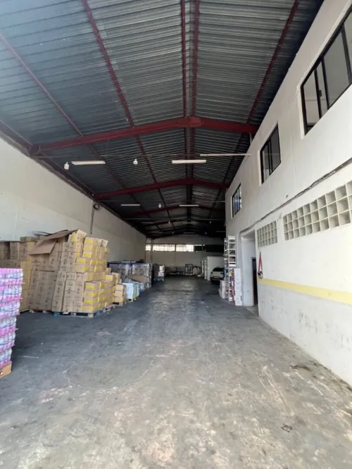 Location Hangar - Usine Blida Blida