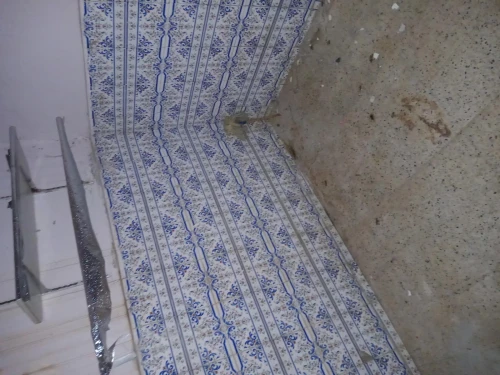 Location Local Alger Bab ezzouar