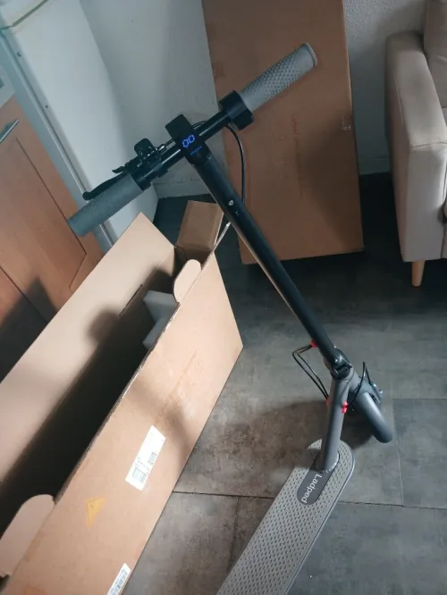 Ladped Lp60 2026