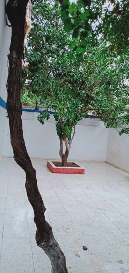 Vente Villa Annaba Annaba