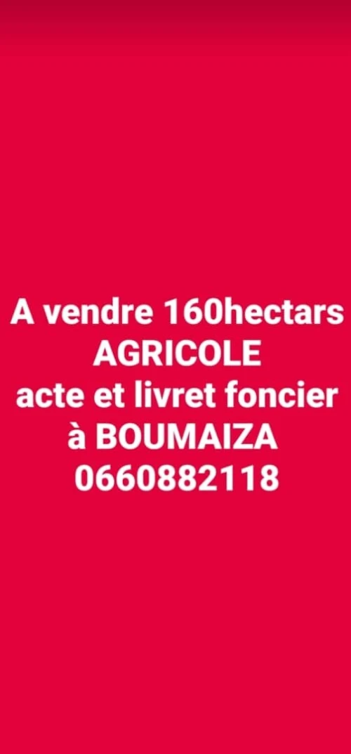 Vente Terrain Agricole Skikda Oued lekbir