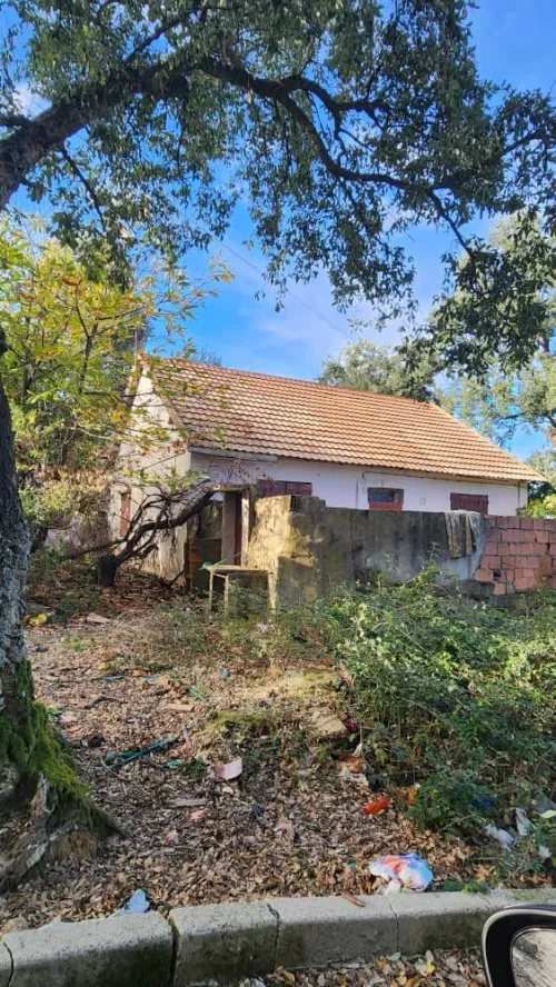 Vente Bungalow F4 Annaba Annaba