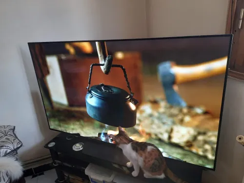 Lg oled cs4 55p