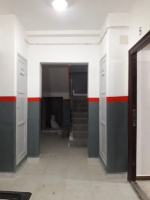 Location Appartement F3 Boumerdès Tidjelabine