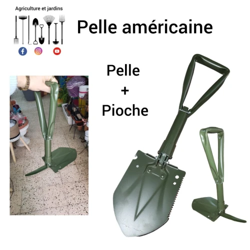Pelle américaine 
