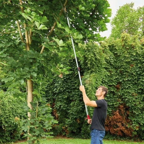 Sécateur perche + scie télescopique 1.8 à3m / 2.4à 4m) . Taille et élagage en hauteur