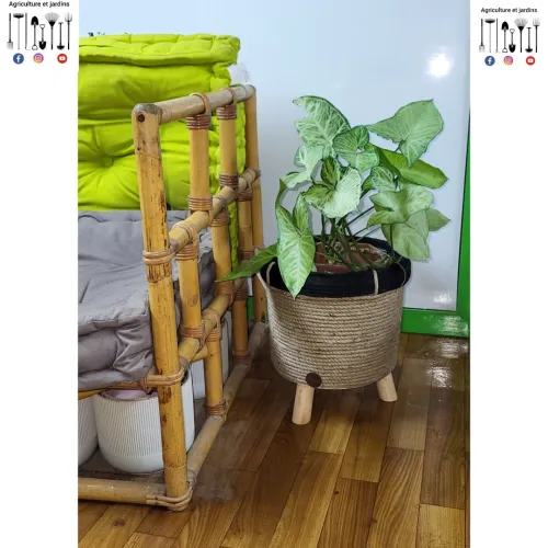 Pot / cache pot 