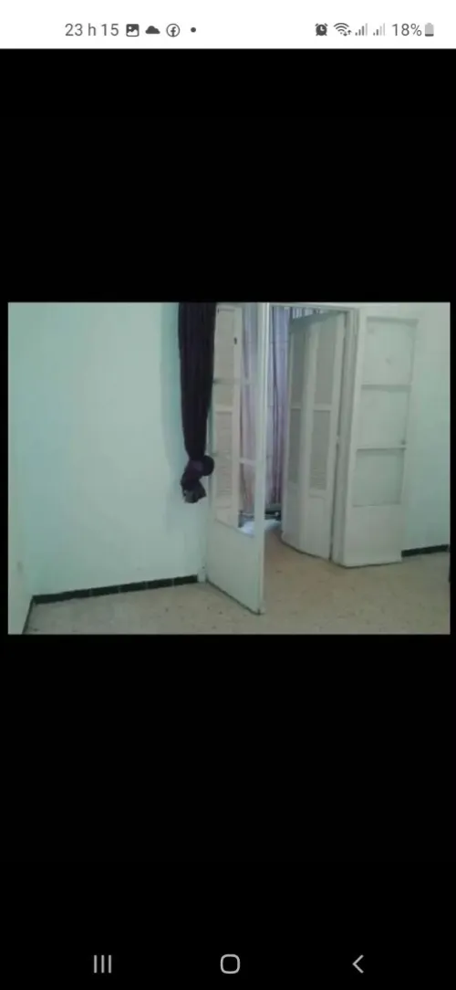 Location Appartement F3 Alger Said hamdine