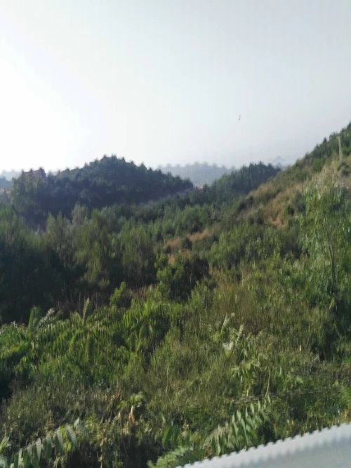 Vente Terrain Béjaïa Bejaia