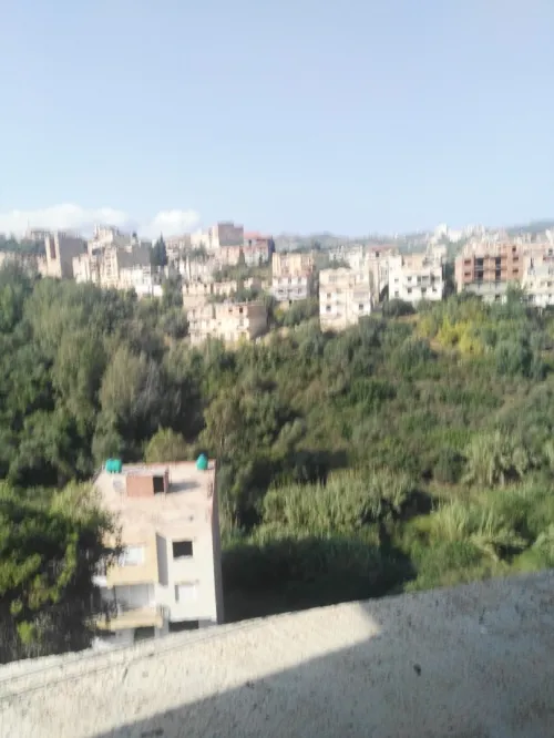 Vente Carcasse Béjaïa Bejaia