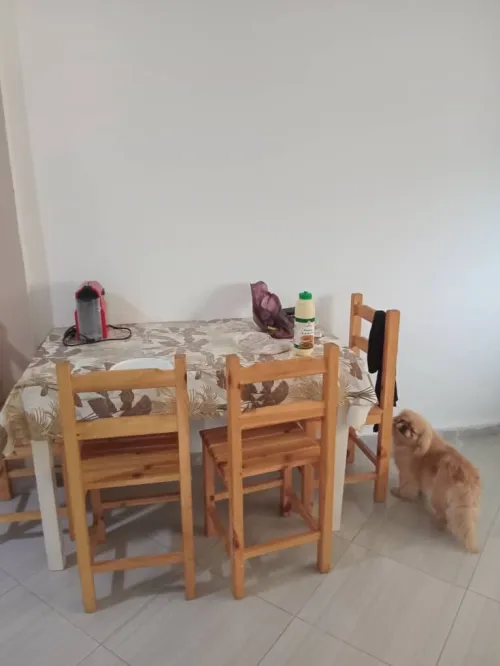 Location vacances Appartement F4 Béjaïa Bejaia
