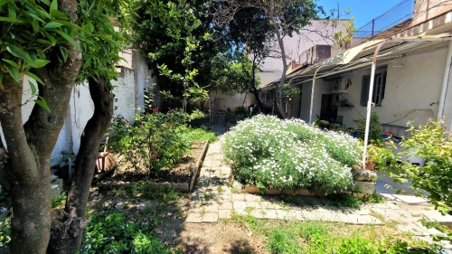 Vente Terrain Alger El biar 2