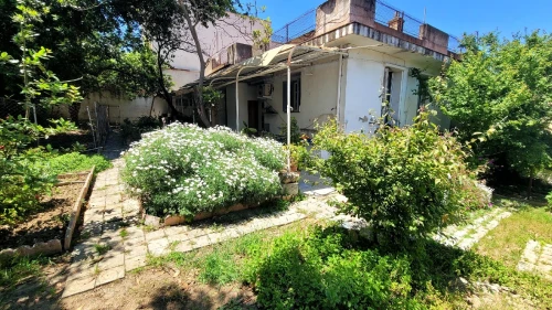 Vente Terrain Alger El biar