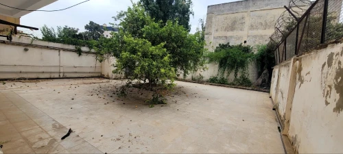 Vente Villa Alger Dely brahim
