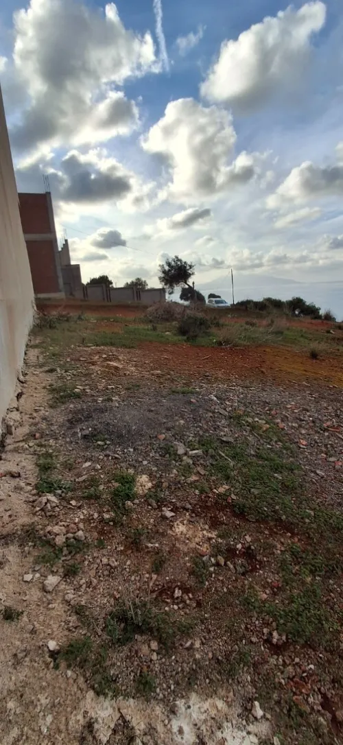 Vente Terrain Tipaza Ain tagourait