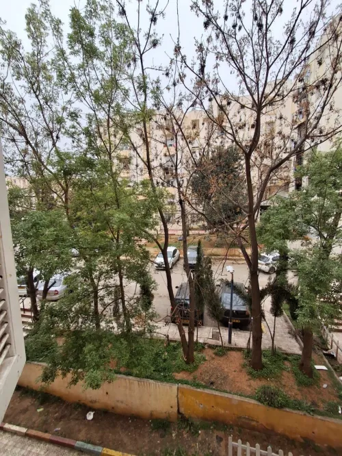 Vente Appartement F3 Alger Birtouta