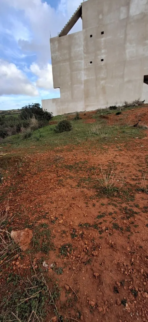Vente Terrain Tipaza Ain tagourait