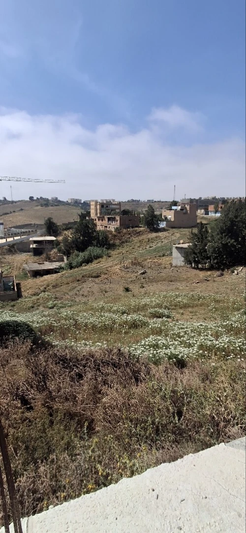 Vente Terrain Alger Mahelma