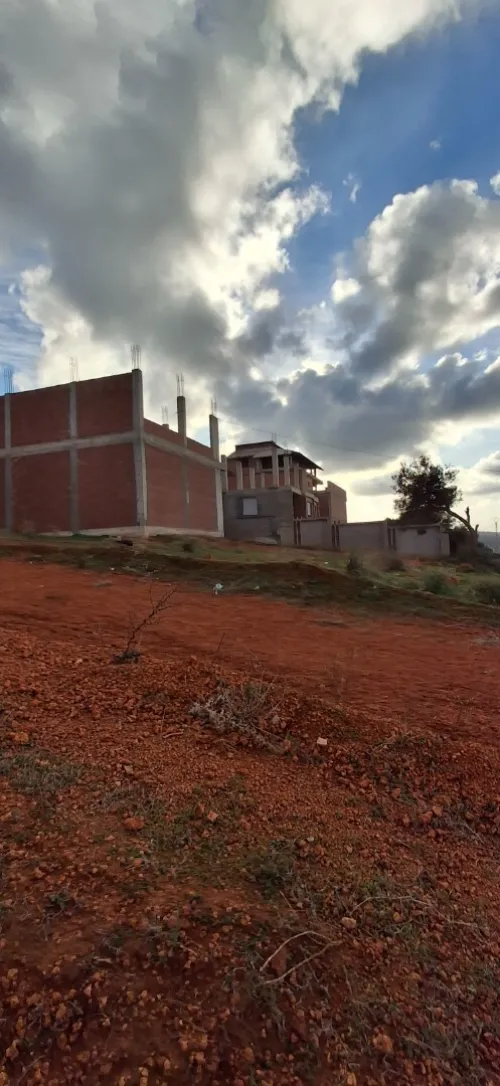 Vente Terrain Tipaza Ain tagourait