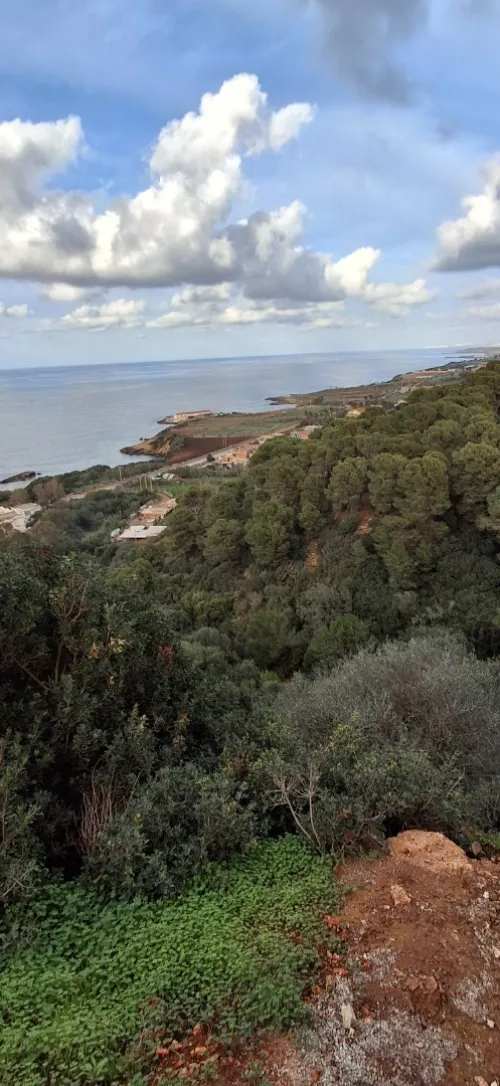 Vente Terrain Tipaza Ain tagourait