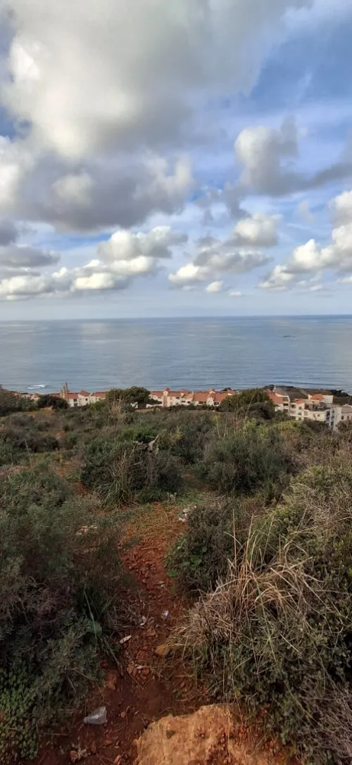 Vente Terrain Tipaza Ain tagourait