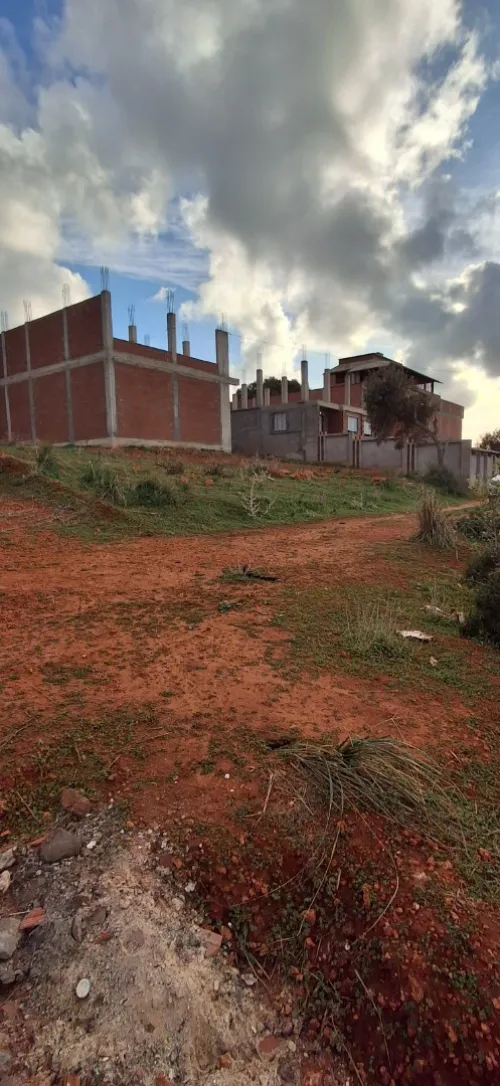 Vente Terrain Tipaza Ain tagourait
