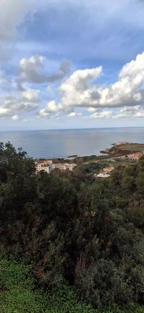 Vente Terrain Tipaza Ain tagourait