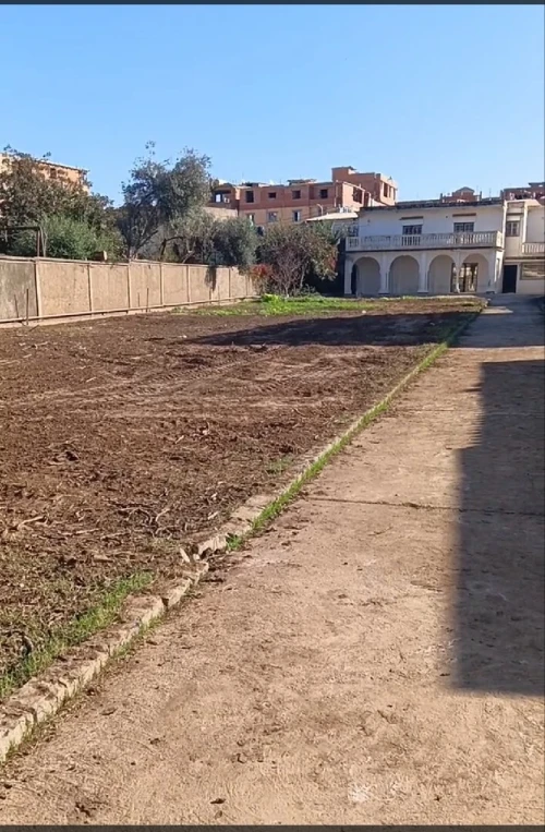 Vente Terrain Alger Bordj el kiffan