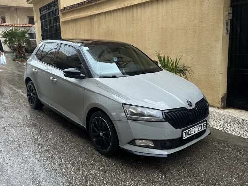 Skoda Fabia 2020 Monte Carlo