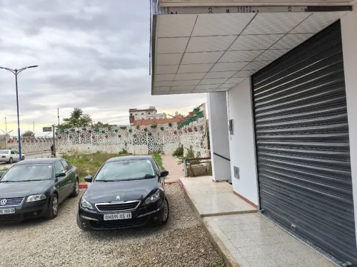Location Local Tlemcen Maghnia