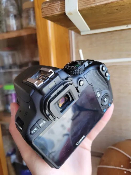 Canon 100D